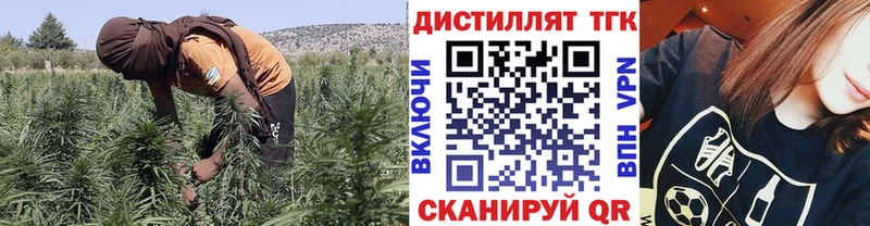 ТГК вейп с тгк  Мураши 