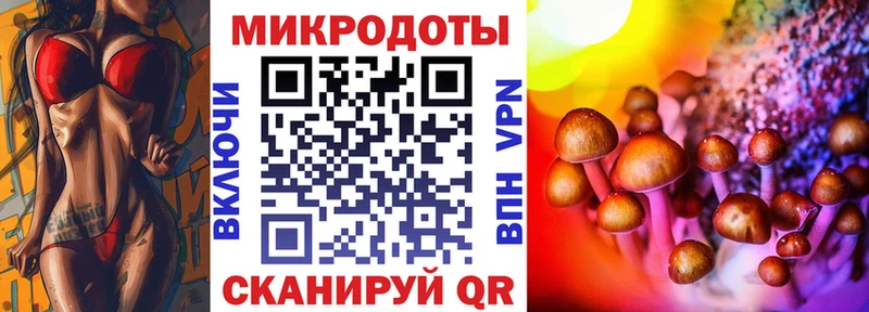 купить закладку  Мураши  Псилоцибиновые грибы прущие грибы 